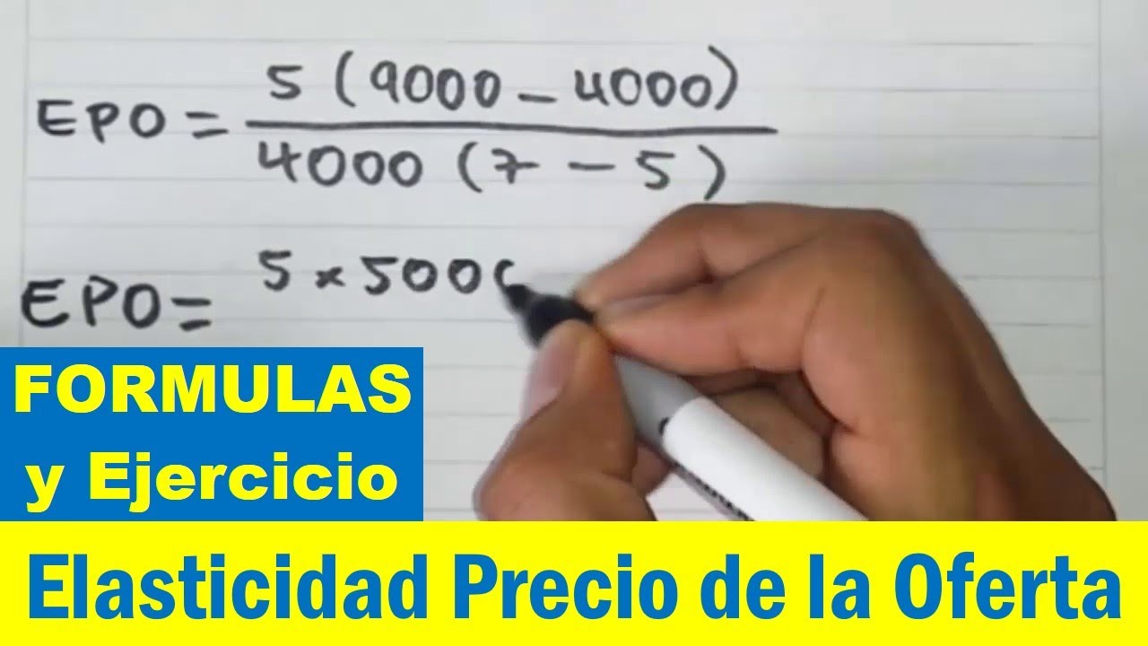 Elasticidad Precio De La Oferta Ejercicios Resueltos Pdf
