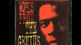 the genius / gza - the genius is slammin'