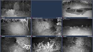 Thumbnail del capítulo