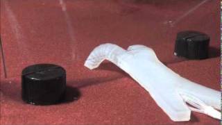 The Harvard team, led by chemist George M. Whitesides, borrowed from squids, starfish and other animals without hard skeletons to fashion a small, four-legged rubber robot that calls to mind the clay animation character Gumby.