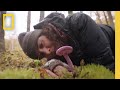 Flora Fauna Funga Documentary National Geographic Society