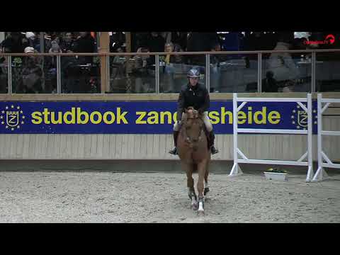 Be Express - Expertise Zangersheide Deauville 2017