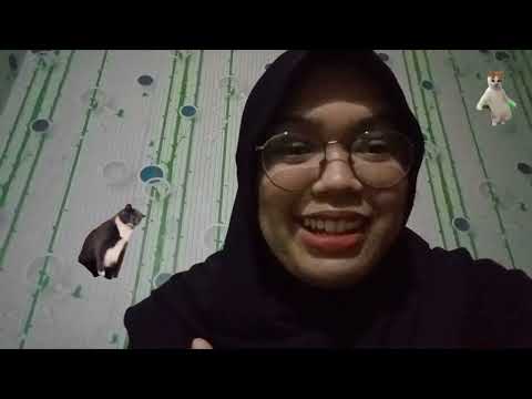 HOW TO TAKE CARE OF CATS by Rizki Putri Anggraini XII IPS 4 / 27