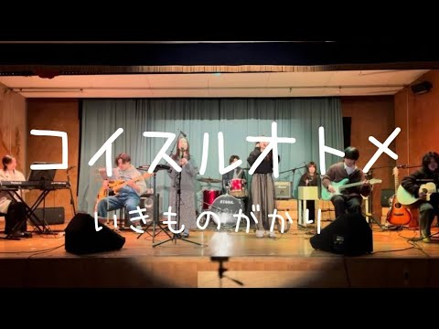 コイスルオトメ／いきものがかり【cover】