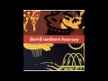 David Sanborn SAVANA.m4v