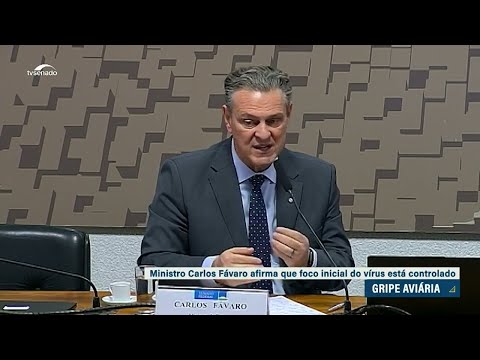 Ministro da Agricultura diz que país está preparado para enfrentar crise aviária