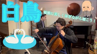 Download lagu サン=サーンス:白鳥 mp3 Download lagu サン=サーンス:白鳥 mp3