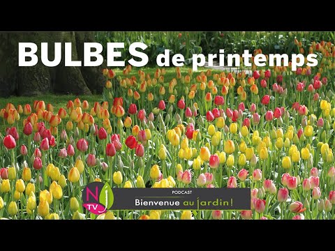 PLANTER LES BULBES À FLORAISON PRINTANIÈRE : TOUS LES BONS CONSEILS PRATIQUES DE PATRICK ET ROLAND