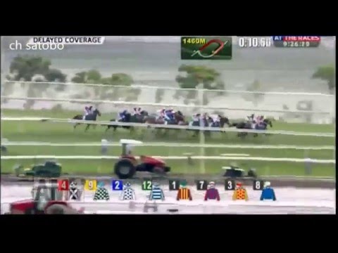 香港でG1 ２連勝！ 2016年 チャンピオンズマイル(G1) モーリス １着！！！！ champions mile(G1) MAURICE