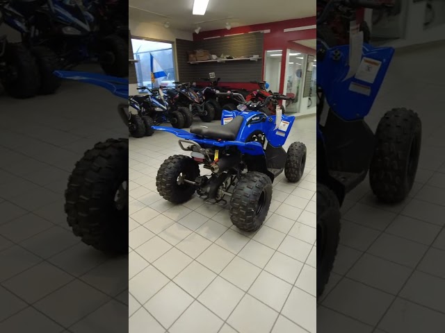 9999 Apollo GIZMO 120CC 120CC AS LOW AS $31BW FOR 36M in ATVs in Bridgewater