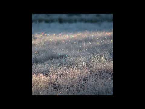 [FREE] ZED YUN PAVAROTTI TYPE BEAT "PURE" [PROD .ROR]