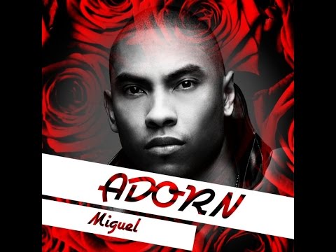 Adorn (Ian Friday Remix Q's Jerzee Soul Rework) Miguel