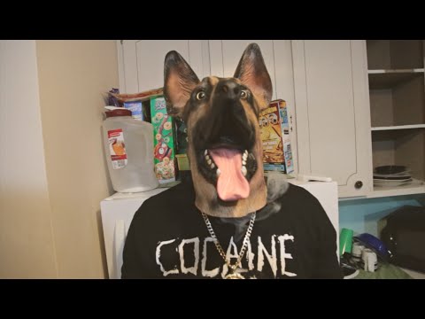 DoggSideBlick - Love Coke | Tony Johnson Films