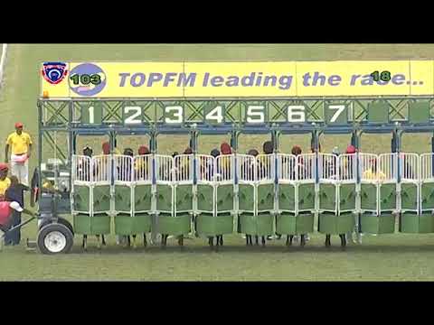 Sky High Flyer with jockey D.Stackhouse