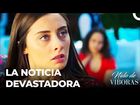 Elvan Se Enteró Que Ejder Se Va A Casar - Nido De Víboras