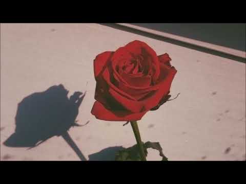 Numen - I Ke Harru (1 Hour Loop)