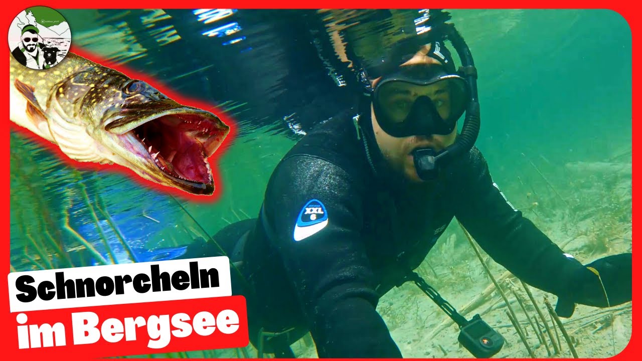 Meine erste Begegnung mit einen XXL Hecht || Schnorcheln im Langbathsee Salzkammergut