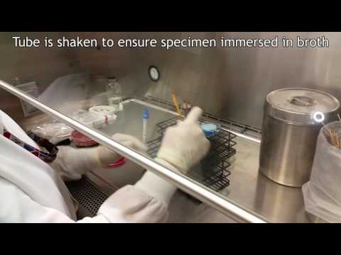 In the Lab: Plating a Stool Specimen