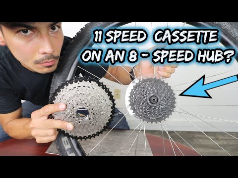 WILL IT FIT?  11-speed cassette on an BUDGET 8-speed HUB?