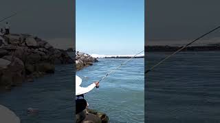 Download lagu #masukberanda #liriklagu #cover #storywa #mangu #azizah mp3 Download lagu #masukberanda #liriklagu #cover #storywa #mangu #azizah mp3