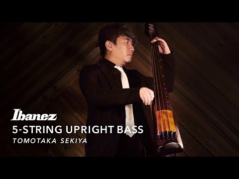 Ibanez Bass Workshop UB805 Upright Bass - Mahogany Oil Burst image 4