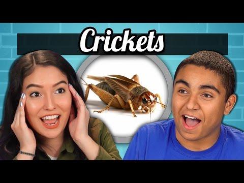 TEENS vs. FOOD - CRICKETS (TEENS vs. FOOD - CRICKETS)