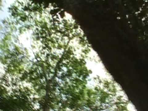 Sigo Caminhando - Ângela - Tabernáculo da Fé - Goiânia/GO - DVD SIGO CAMINHANDO