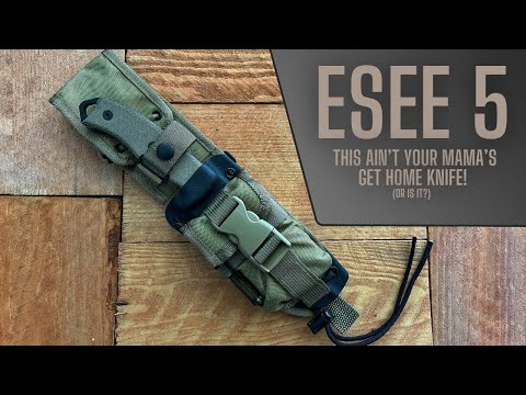ESEE 5 - Could it be the Ultimate Urban Survival Knife in 2023??