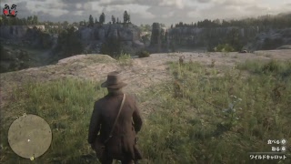 【PS4】レッド・デッド・リデンプション2