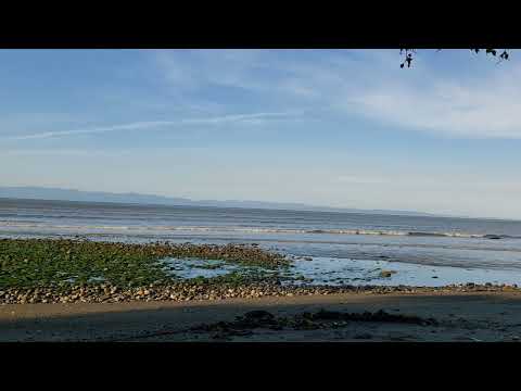 Murdock Beach‎, WA Thursday ‎September ‎8  ‎2022  ‏‎6 02 22 PM