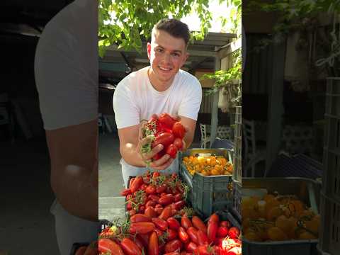 That was such a great experience!😍🍅 #sanmarzano #tomato #pizza #fy #fyp #foryou