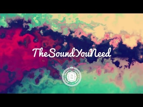 Best Of The Sound You Need (TSYN) 2016