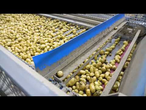 Tummers Food Processing Solutions realiseert de waslijn bij Aviko in Poperinge