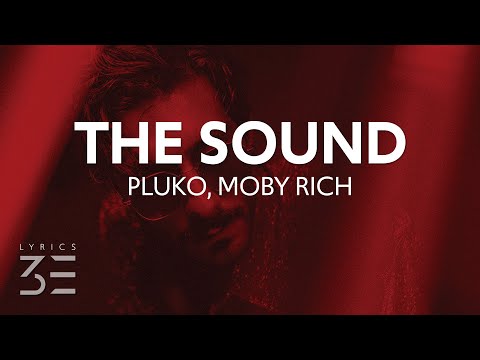 pluko - the sound (Lyrics) feat. Moby Rich