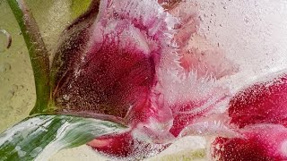 Solo Art Series Exhibition 2016 - Eric Stampfli #10