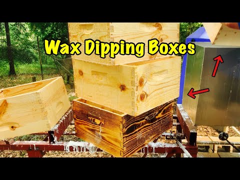 Wax Dipping Bee Boxes for Preservation