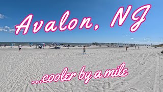 Is Avalon, New Jersey Worth Visiting Full Town Tour #avalon #avalonnj #jerseyshore