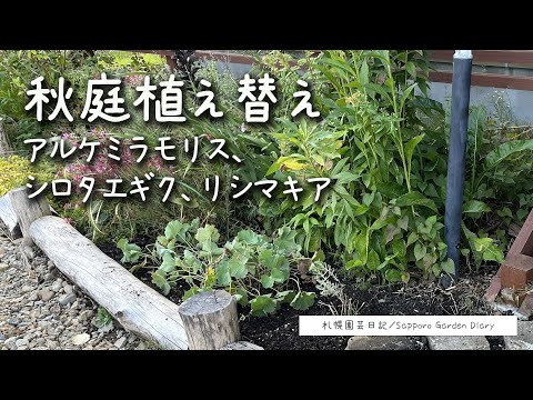 園芸 ケルブルーズの庭 (56)