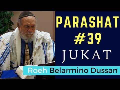 🔴 Parasha #39 "Jukat" (Estatuto/Decreto) | Roeh Belarmino Dussan