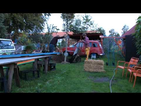 Plantera stort träd