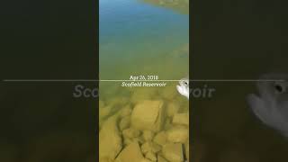 preview picture of video 'Trout at Scofield Reservour, Utah'