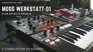 Video thumbnail for Moog Werkstatt-01 : A Compilation Of Sounds! by Realms Official Music
