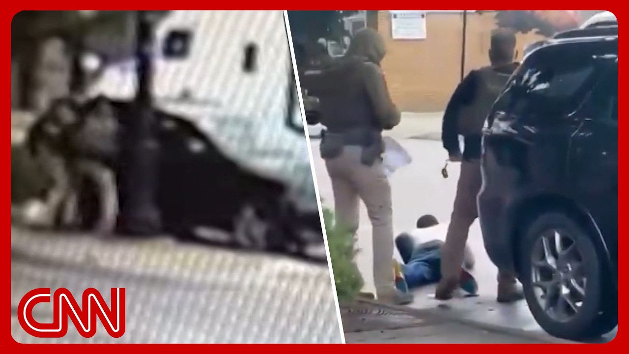 'I'm a f**king US citizen': ICE mistakenly targets man in Illinois