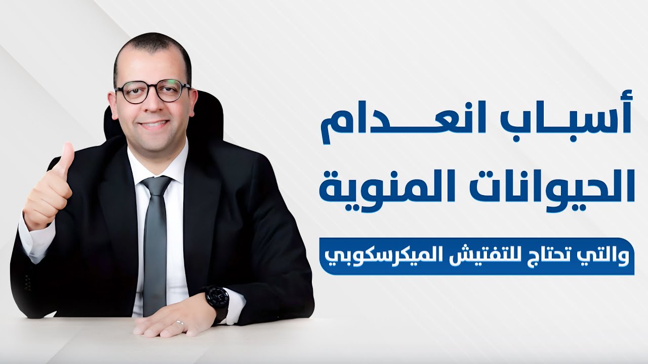 فيديو: الدعامة المرنة وأهميتها