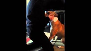 Cudi Head Trauma Video