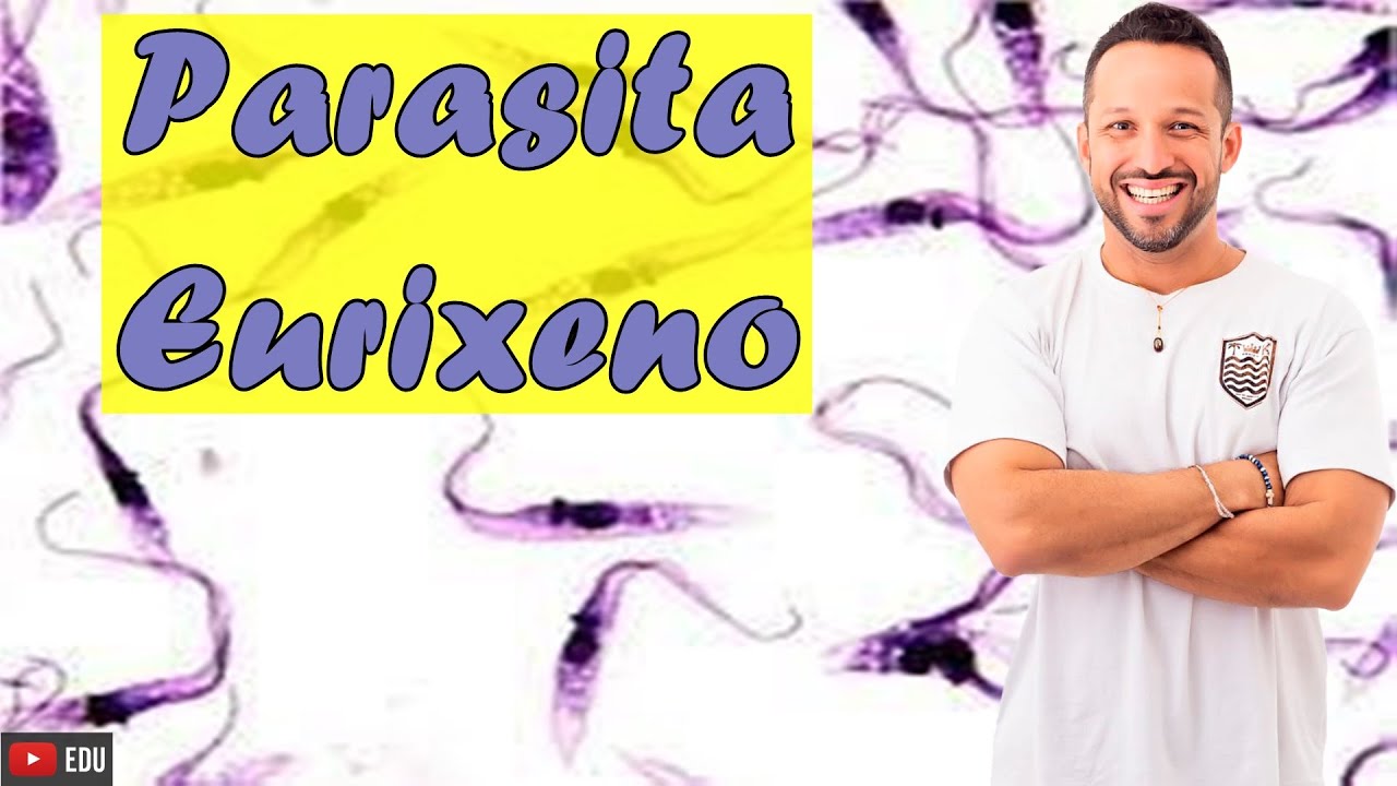 Parasita Eurixeno - Conceito e Exemplos - Parasitologia - Programa de Saúde