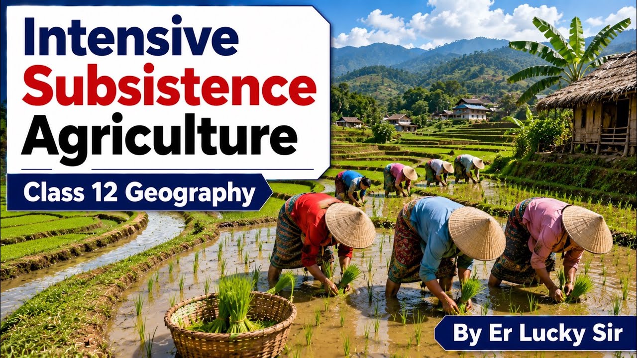 Intensive Subsistence Agriculture - Class 12 Geography