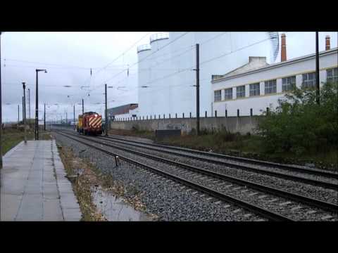 Comboio Especial n.º 95226 - Riachos