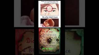 Download lagu Did you yawn☠️😰 mp3