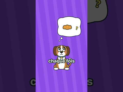 Si ton chien te supplie à manger pendant tout le repas. #science #chien